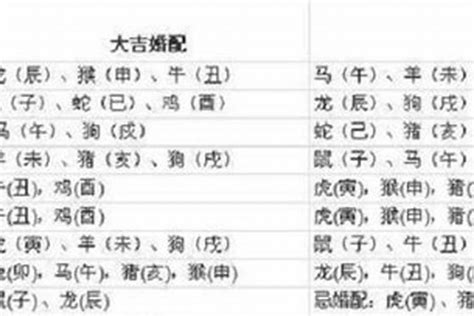 97年生肖|1997年属牛的最佳配偶 97年属牛的和什么属相最配